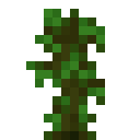minecraft:jungle_sapling